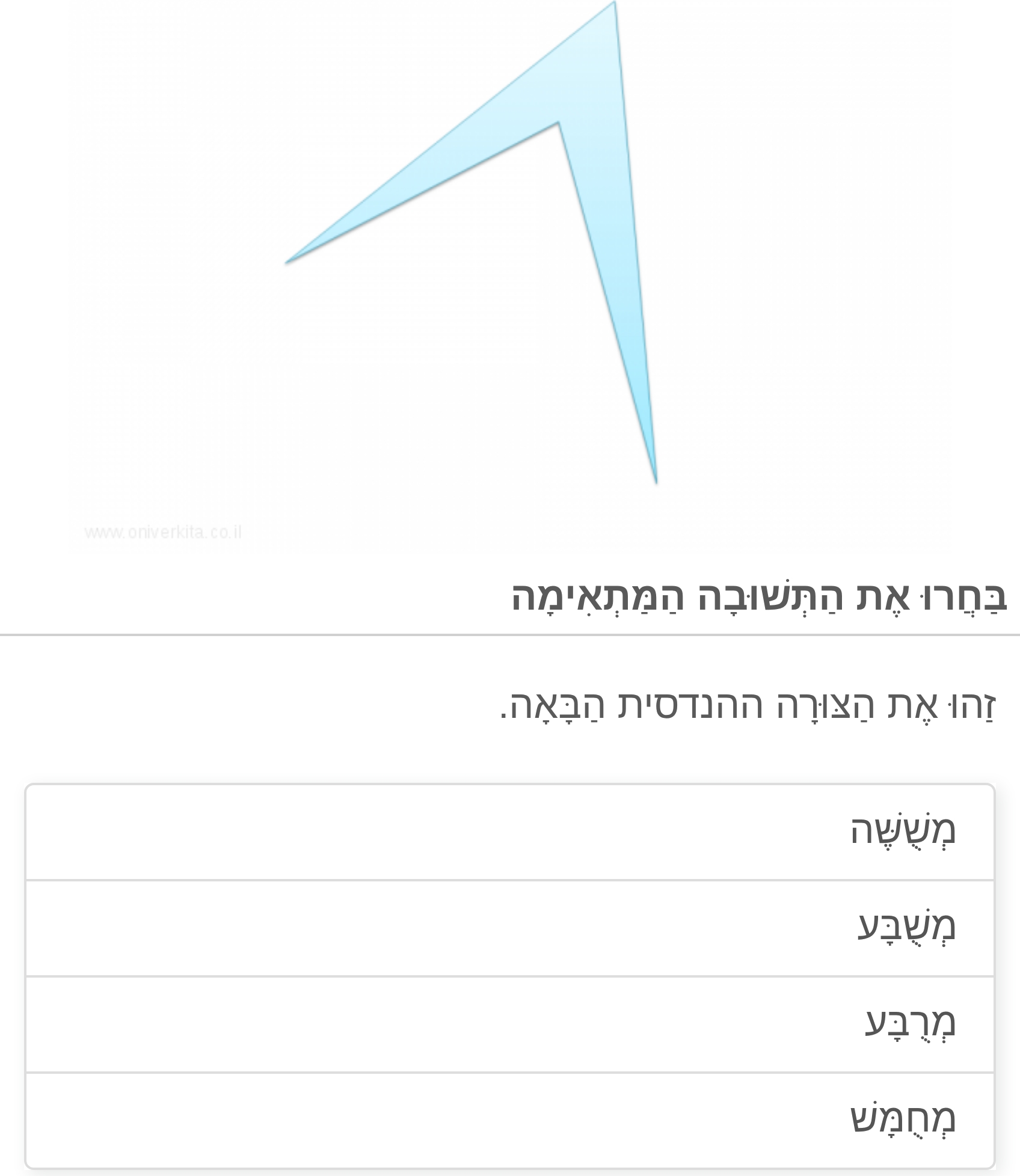 תמונה 5